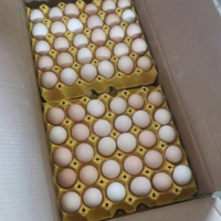 粉壳鸡蛋产地直发量大优惠360枚标准箱装欢迎选购