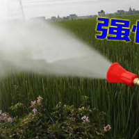 农用高压机动喷雾器汽油打药机果树喷药可调雾化防风喷头远射