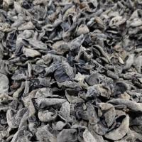 【高品质不断货】东北黑木耳干货批发小碗耳秋木耳 出摊餐饮电商