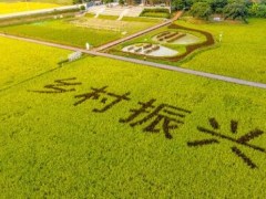 朝着建设农业强国目标扎实迈进