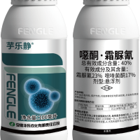 芋乐静（面议）
