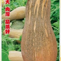 金丰密本（面议）