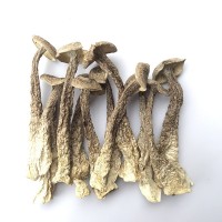 君志 切根鹿茸菇干货批发500g鹿茸菌煲汤食材 2023新货   2件