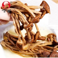 活动优惠素菜茶薪菇 新货不开伞茶树菇批发 无熏厂家批发