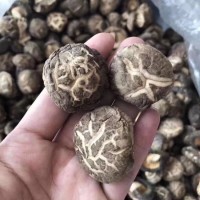 福建古田干货散装 食用菌干花菇特产农产品厂家批发花菇250g  2件