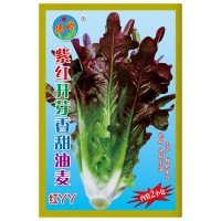 蔬菜种子批发油麦种子10克丽隆抗病耐热德娇紫红开芽香甜油麦种籽  2袋