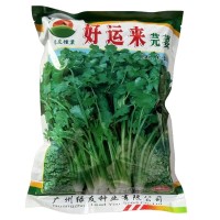 蔬菜种子批发500克香菜种子绿友种业好运来芫荽种籽