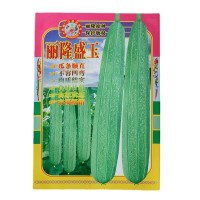 蔬菜种子批发丝瓜种子10克 丽隆盛玉丝瓜 顺直肉质结实丝瓜种籽