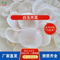 白玉木耳干货批量供应 朵型完整肉质厚实白木耳干木耳小碗耳批发