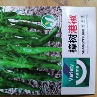 樟树港椒辣椒种籽大全早熟小型辣椒港椒种孑蔬菜盆栽四季辣