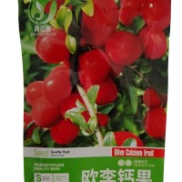 甄选良种钙果种子欧李钙果种籽核果近球形田园阳台植物