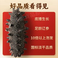 有机国标大连淡干海参辽参刺参干货餐饮供应非即食海参SC工厂批发