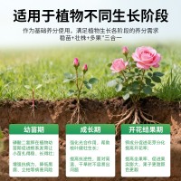 高纯度磷酸二氢钾肥料绿植花卉专用磷钾肥花肥水溶叶面肥农用园艺