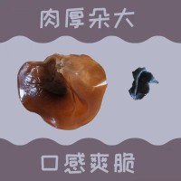 精选木耳批发甘肃农业特产干货干木耳黑木耳包邮500g礼盒装    20盒