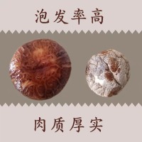 卢水村干香菇精选农家香菇菌菇做菌汤甘肃特产500g*1礼盒装    20盒