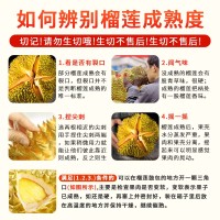 顺丰正宗泰国金枕榴莲当季进口新鲜水果带壳巴掌榴莲肉一整个包邮