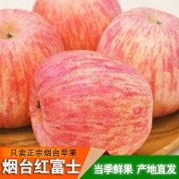 正宗烟台红富士苹果条纹片红红富士脆甜多汁产地直发一件代发礼盒