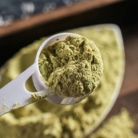 包邮批发吴茱萸粉 大货供应量大价优粉质细腻农产品代发吴茱萸粉