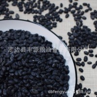2023年产 小黑豆 陕北黑豆 农家黑豆 厂家销售批发      2000千克