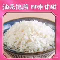 隆平芯米五常基地5kg优质新米东北五常大米粳米10斤公司福利送礼    5袋