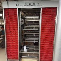 华顺牌全自动层叠捡蛋机 运行平稳噪音小 不掉蛋 配备软蛋过滤