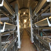 河南华顺2025款层叠蛋鸡笼好操作客户青睐