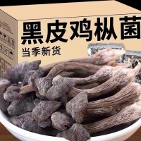 云南黑皮鸡枞菌干货一手货源支持电商一件代发工厂大货批发