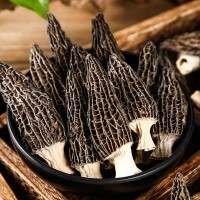 新货菌菇云南特产头茬羊肚菌精选20g干货袋装源头厂家代发批发