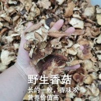 云南野生香菇干货批发包邮天然干香菇高原头茬厚菇量大价优