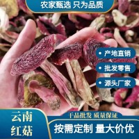云南红菇干货批发野生菌普洱大红菌骨朵干品甄选煲汤食材量大价优