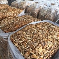 云南茶树菇干货批发 茶树菇原产地厂家直销批发干茶树菇散装袋装    2包