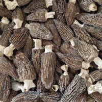鑫榕钰 羊肚菌干货菌汤包火锅食材大量产地直供    2斤