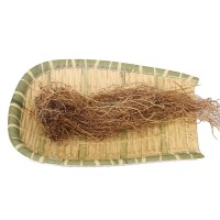 材细辛 产地货源辽宁水洗细辛根 现货批发根状茎辽细辛可食用药材   2斤