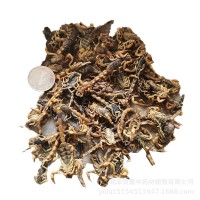材全虫无杂质清水全蝎散装500g批发农产品干货蝎子批发    2斤