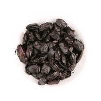新货九香虫不打油臭板虫屁巴虫打屁虫中药材批发黑兜虫代发货  2斤