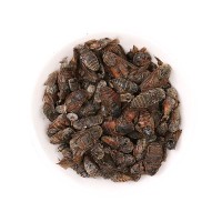 中药材牛虻虫散装大个牛苍蝇牛氓虫牛蚊子牤虫忙虫量大从优招代理   2斤