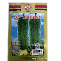 五洲牌丰满园丝瓜特大高产棱角丝瓜四季盆栽蔬菜种子电商厂家批发  2袋