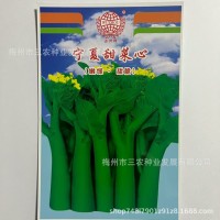 五洲牌宁夏甜菜心油青菜心菜园院子种植蔬菜种子电商批发厂家直销  2包