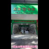 五洲牌四季柳叶空心菜种子阳台菜地家庭种植四季蔬菜种籽厂家批发  2包