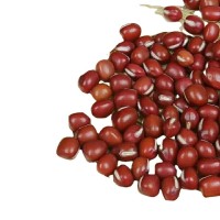 红小豆种子小红豆种子红豆种子早熟高产四季播种红小豆种子 2袋