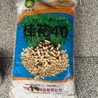 桂花40花生种子 5000克花生种 十斤 5KG 带壳花生种籽 2袋