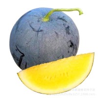 黄皮红心金麒麟西瓜种子黄皮红瓤甜薄皮礼品水果西瓜籽  1袋