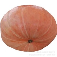 南瓜种子懒人南瓜种子新品观赏庭院食用四季蔬菜种子大全  1袋