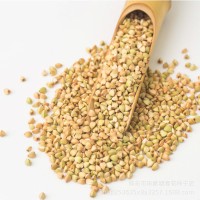 荞麦种子四季易播食用甜黑苦荞麦种籽蜜源植物芽苗菜种甜荞麦种孑 2袋