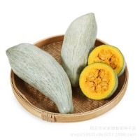 甜粉糯南瓜种子新品种金丝栗板栗贝贝南瓜籽四季种植种籽子  2袋