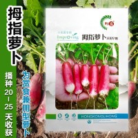 早餐水果萝卜种子手指樱桃萝卜种籽春季秋季四季播蔬菜种子孑盆栽  2袋