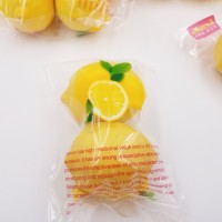 批发市场四川安岳黄柠檬 新鲜 一级尤力克柠檬 双胞胎装 5斤起批  10斤