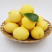 四川安岳柠檬 新鲜一级果新鲜黄柠檬尤力克柠檬批发5斤起中大可选 5斤