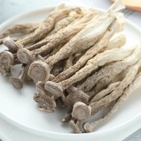 精选鹿茸菇鹿茸菌新货无熏硫新鲜香菇干货鹿茸菇可批发煲汤食材 1袋