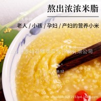 山西小米新米农家月子小米羊肥黄小米正宗晋谷21号黄小米自家农场 1件
